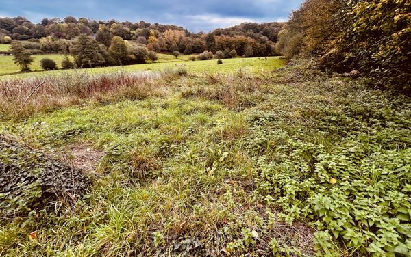 A Second Spring in the West of France