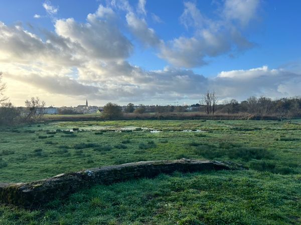 When the Countryside Goes Quiet in France
