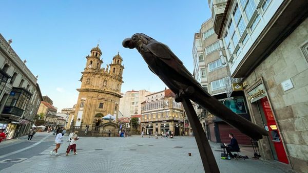 A Parrot Became a Local Legend. Then It Died.