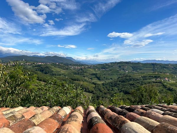 Stumbling Toward Home in France