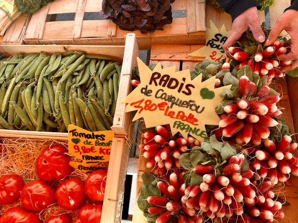 Sundays at the French Market (and an Easy Tomato Pistou Salad)