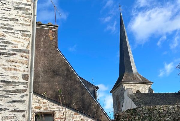The Medieval Untouchables of France