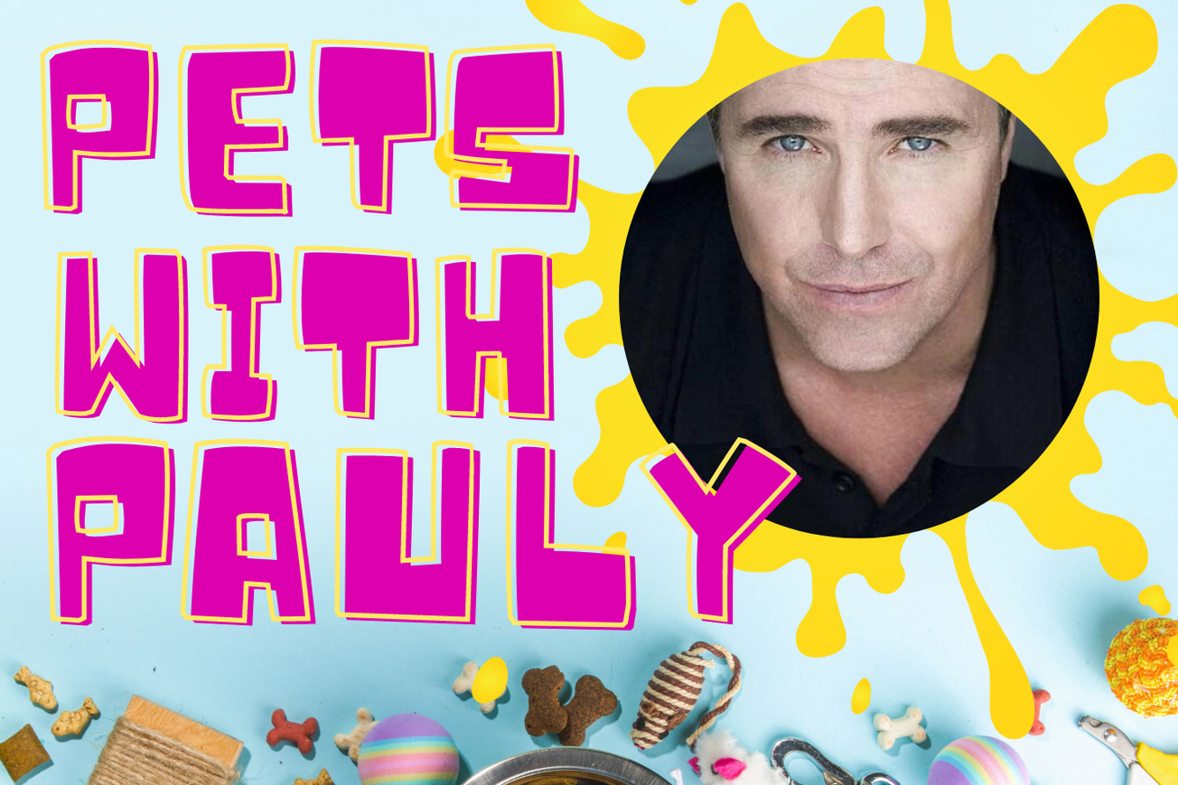Come Chill with Paul McGillion and Pets: Tickets On Sale Now
