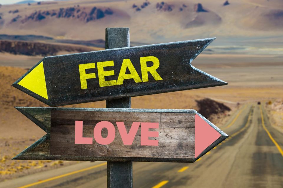 Is Fear the opposite of Love?