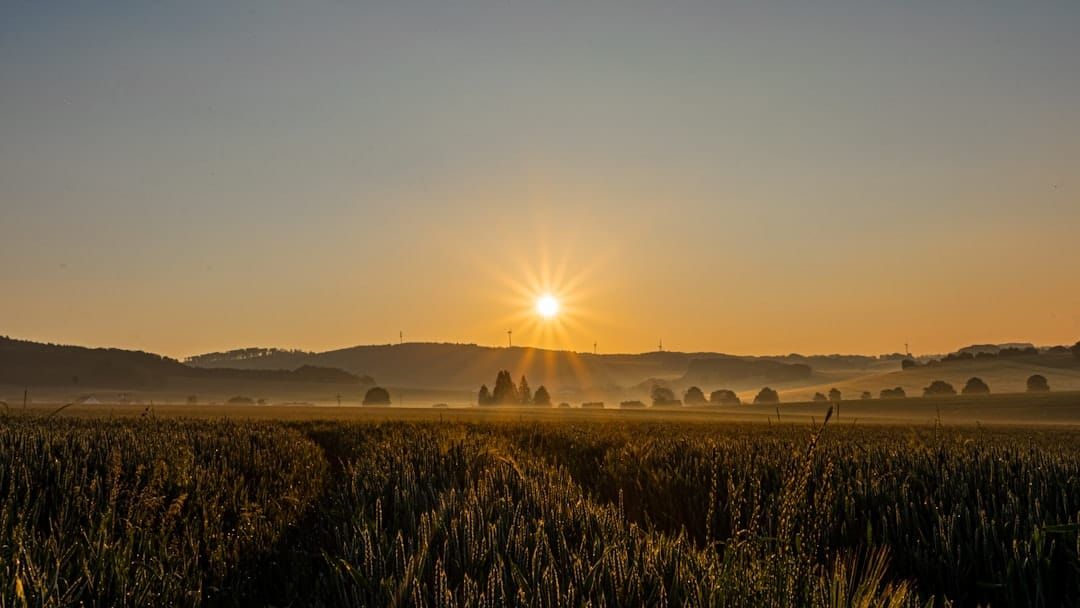 Two poems on reunion