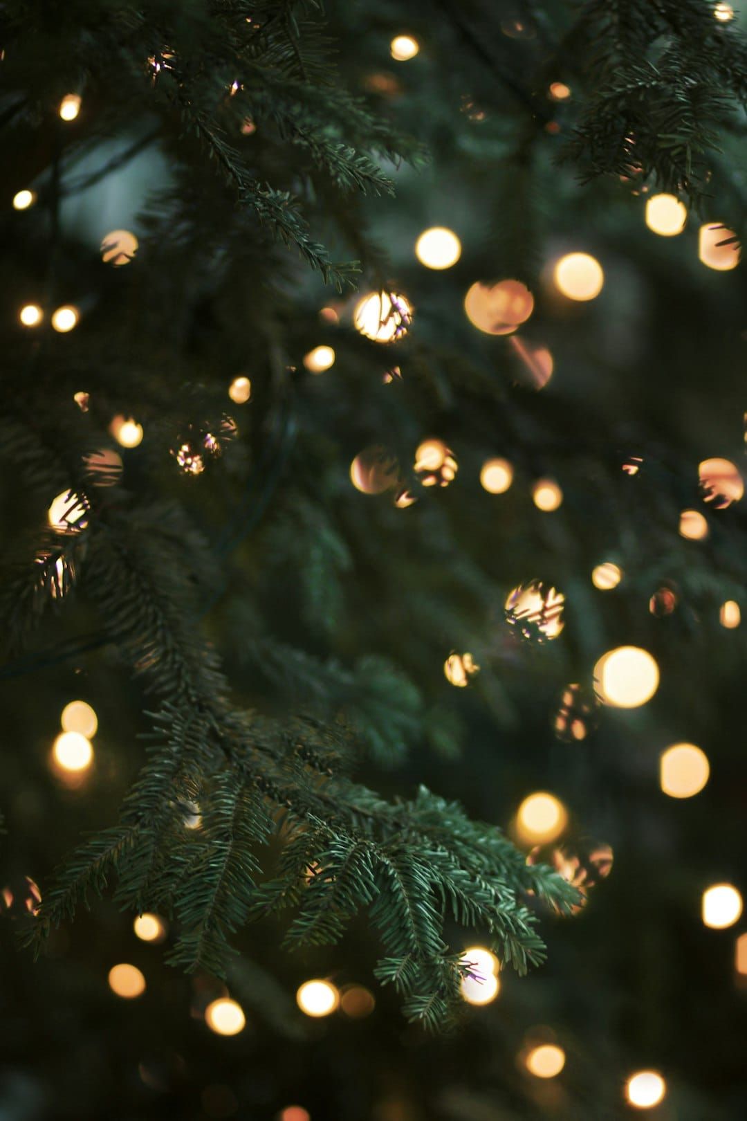 Two poems for the introverts at Christmas