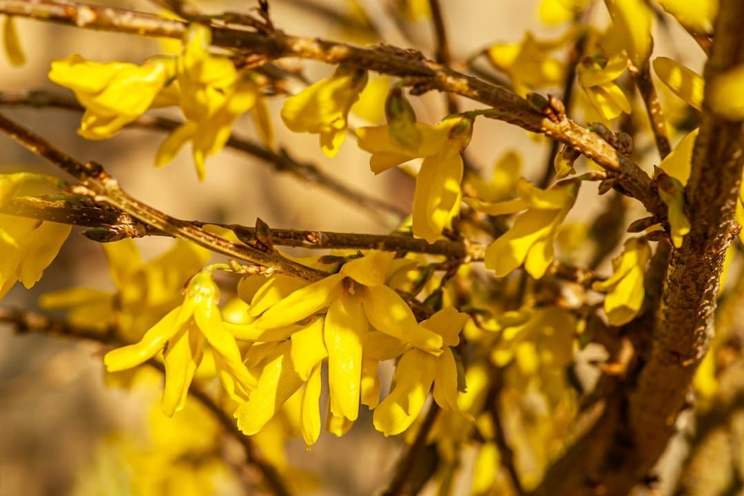 Some small attempts at doing good, and a move