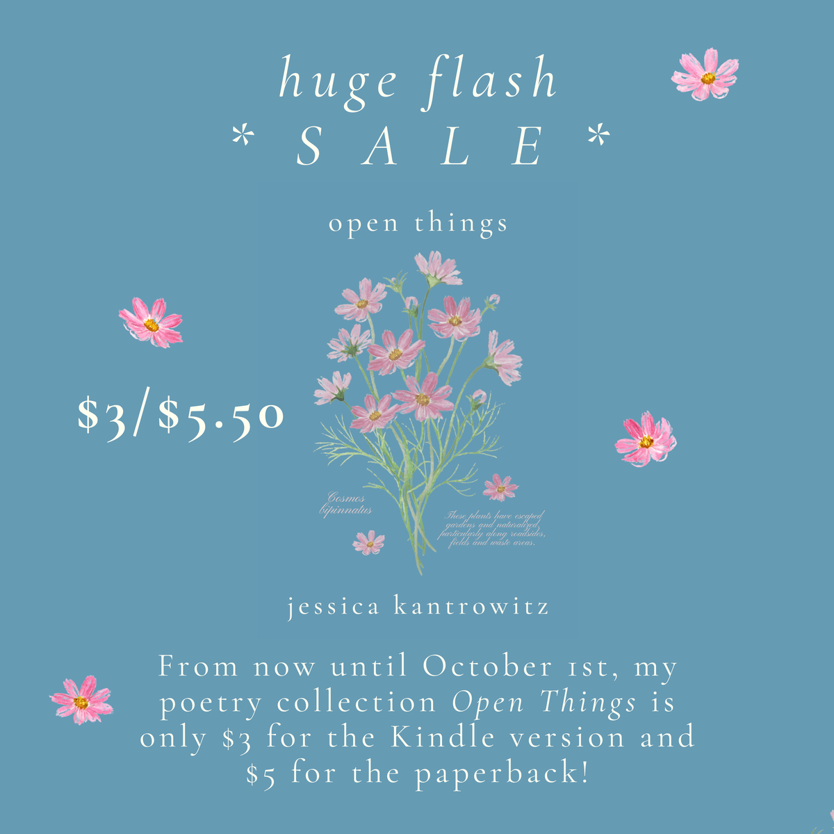 Flash sale!