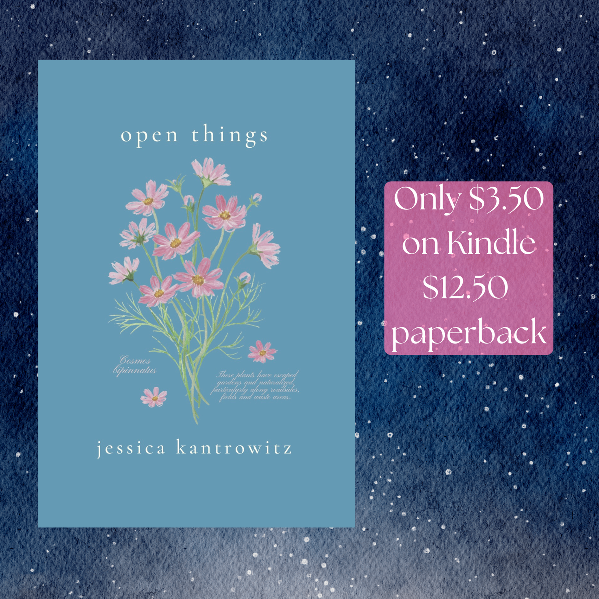 A course of studies in the heart