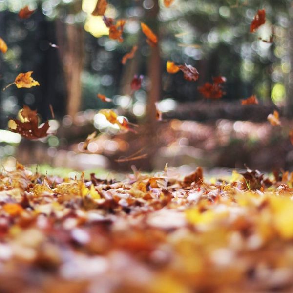 Two poems for seasonal depression