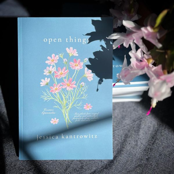 On Open Things, launching a book, and art for art's sake