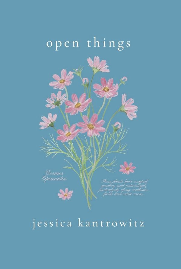 New poetry collection!