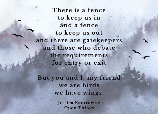 Wings: A mystery poem