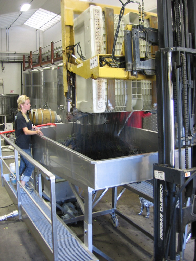 First_Syrah_2009_0004