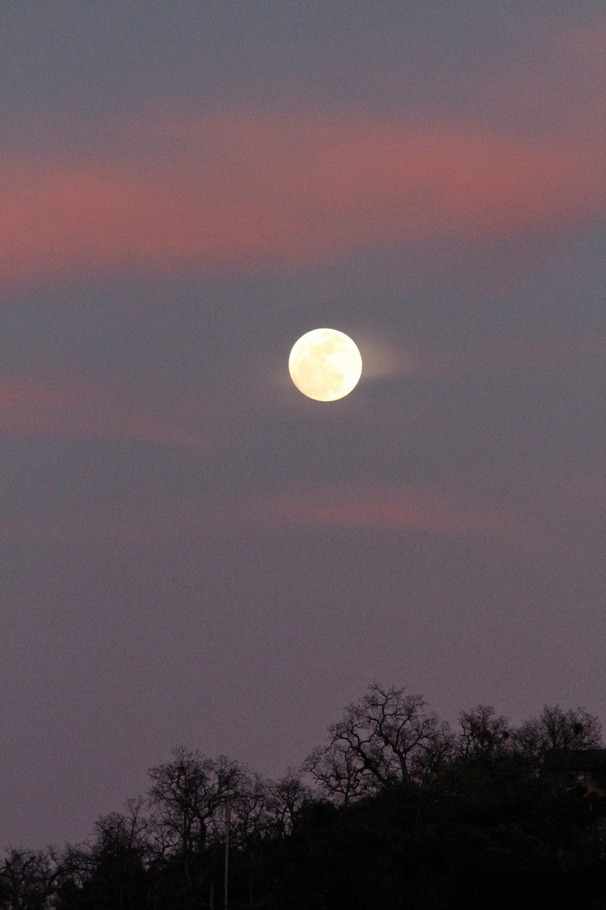 Moonrise at sunset
