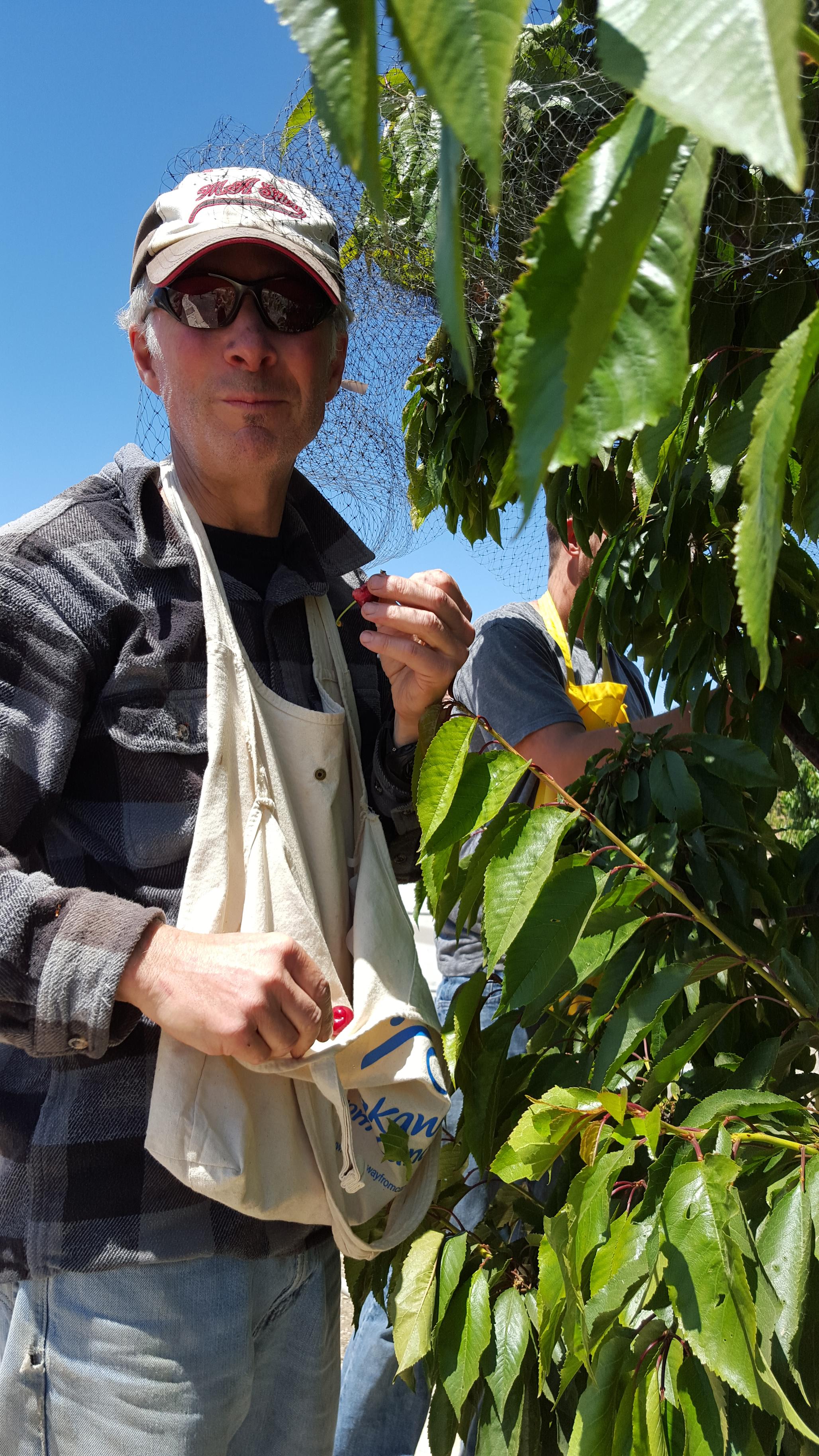 Gustavo eating cherries