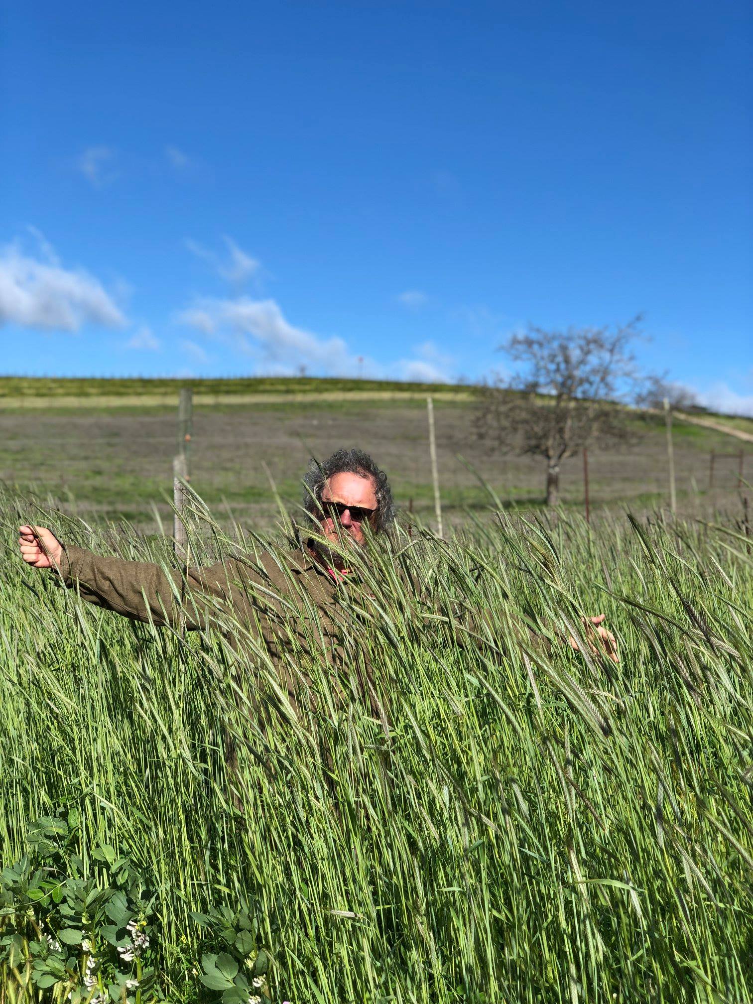 Neil lost in the cover crop April 2019
