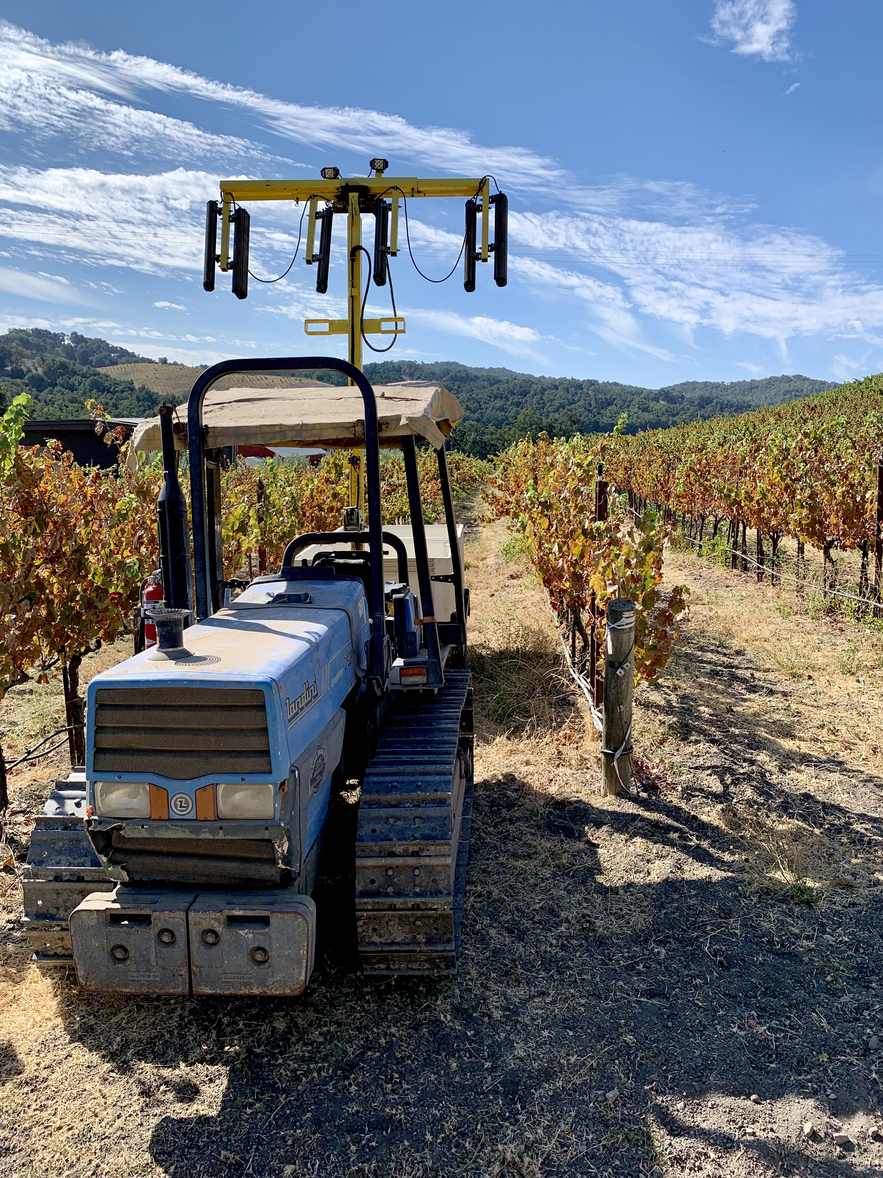 Tractor in front of colorful Mourvedre