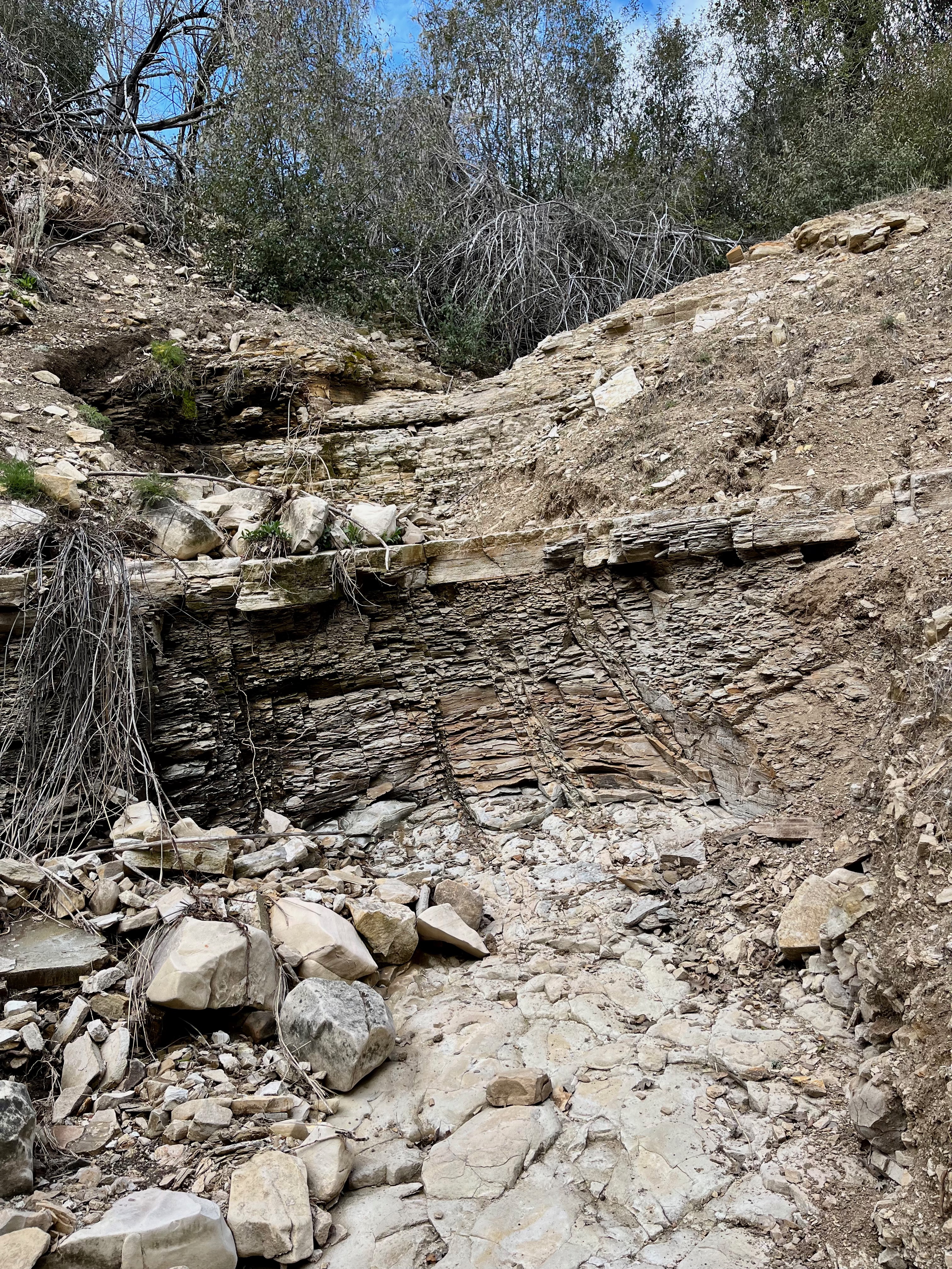 Limestone and softer layers cross-section