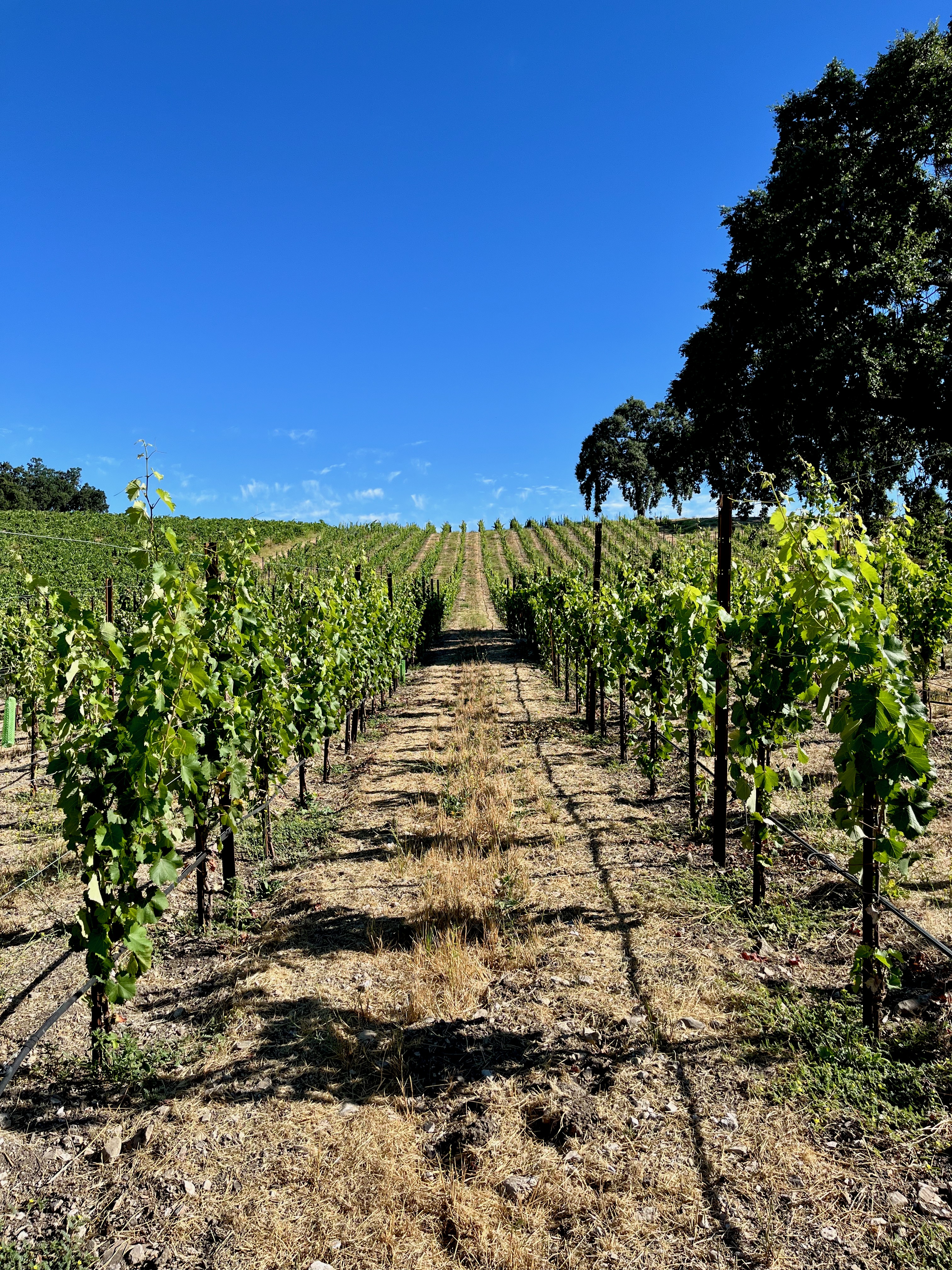 Santos Block late July 2023