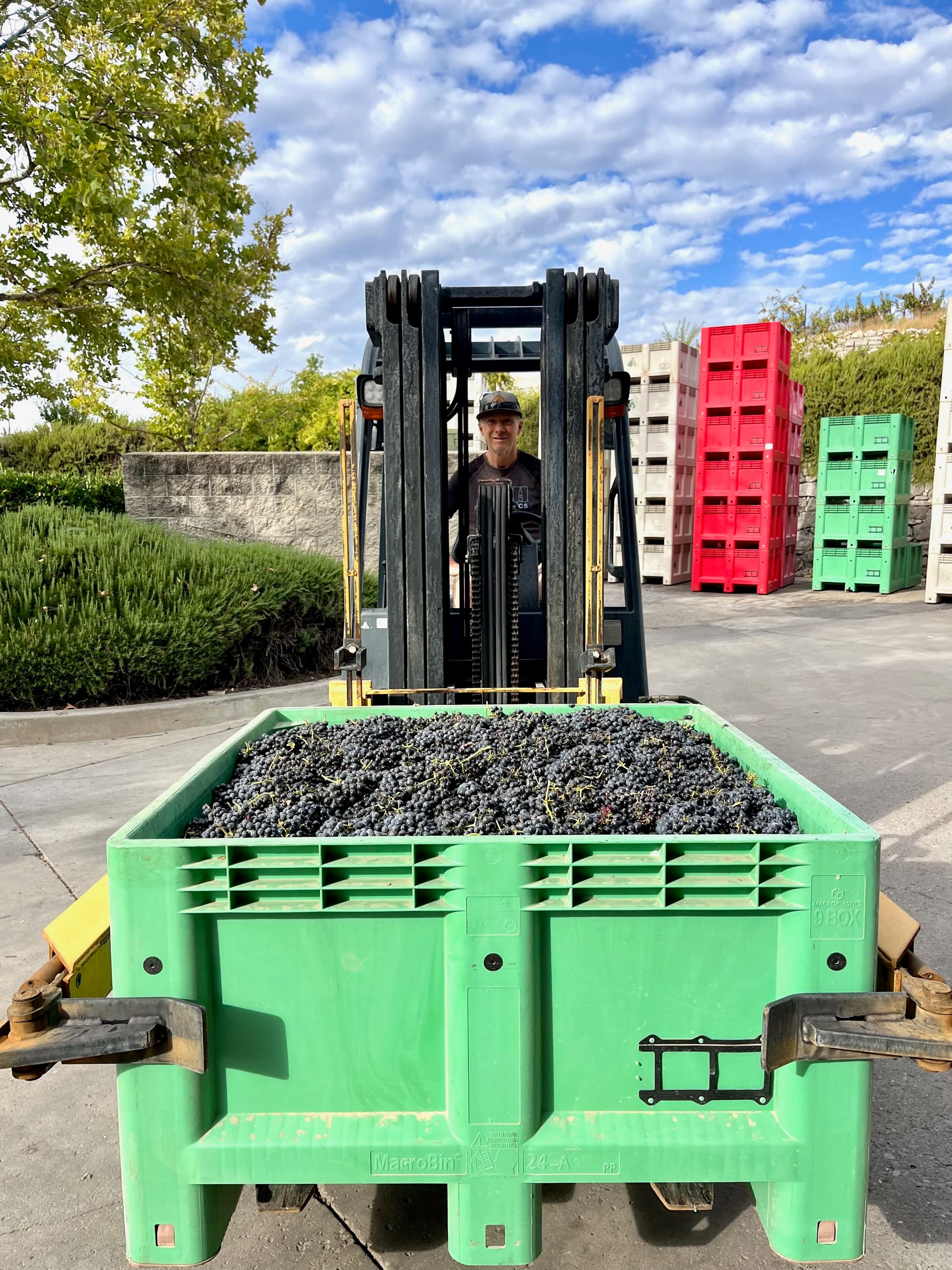 Gustavo on Forklift 1