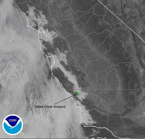 Fog_rolling_up_salinas_3