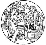 Goodwineunder20_2