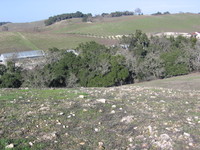 A view looking back across Tablas Creek from Scruffy Hill