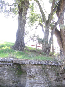 Limestone_layers_profile_with_trees