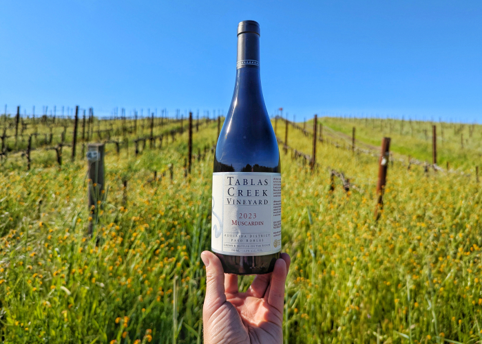 2023 Muscardin bottle in front of the Muscardin vineyard block