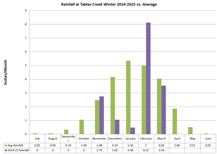 Rainfall vs normal through Mar 2025