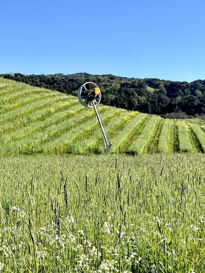 Budbreak 2025 - Frost Fan