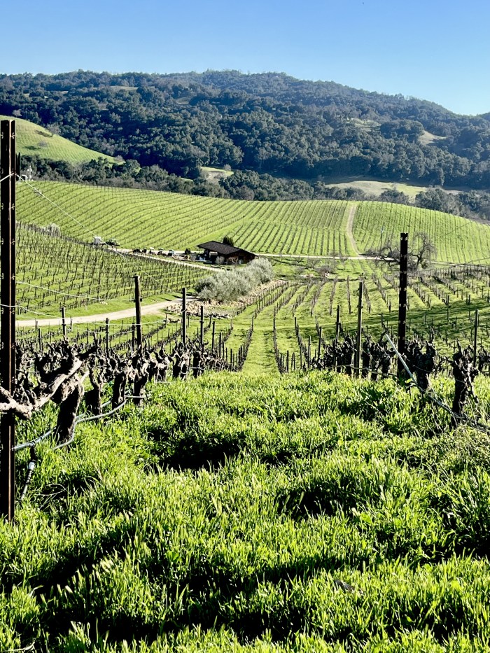 Feb 2025 - long view