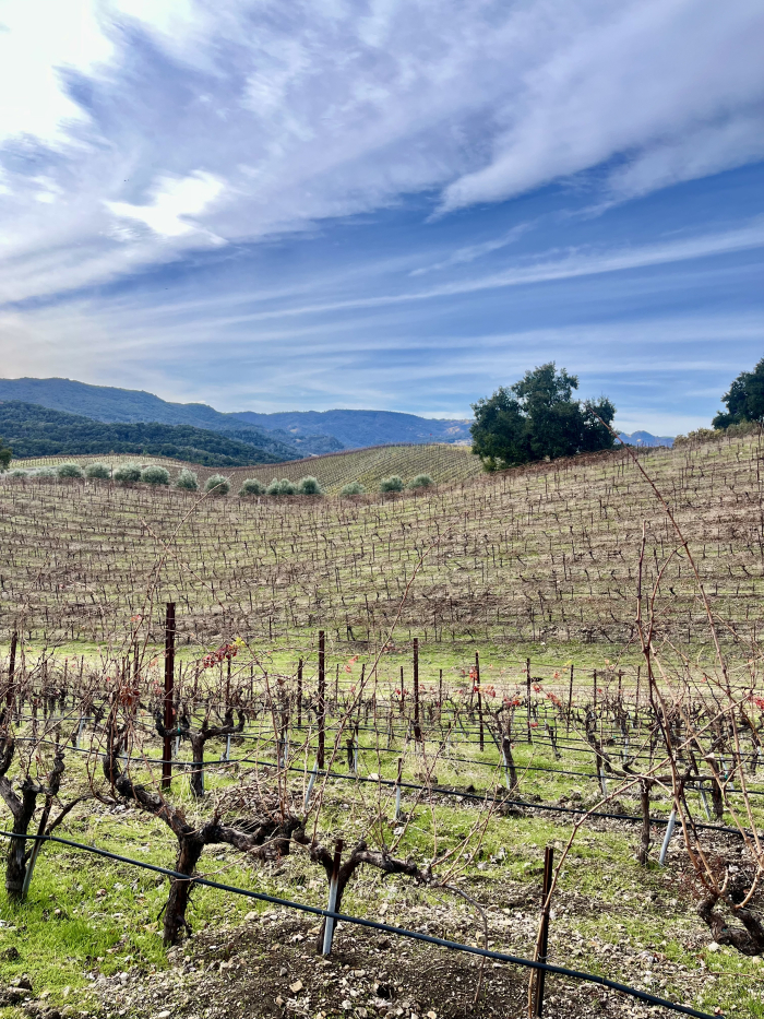 Winter long view looking west