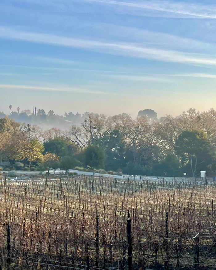Winter long view looking over Templeton
