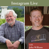 John Williams on Conversations with Jason IGTV crop