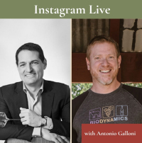 Antonio Galloni on Conversation with Jason IGTV crop