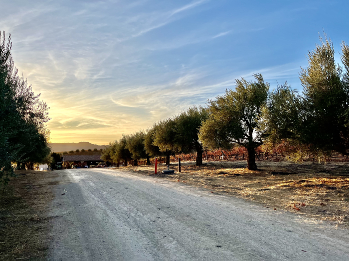 November sunsets - road to straw bale