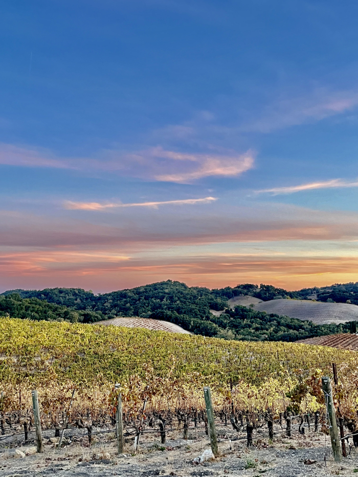 November sunsets - cotton candy clouds