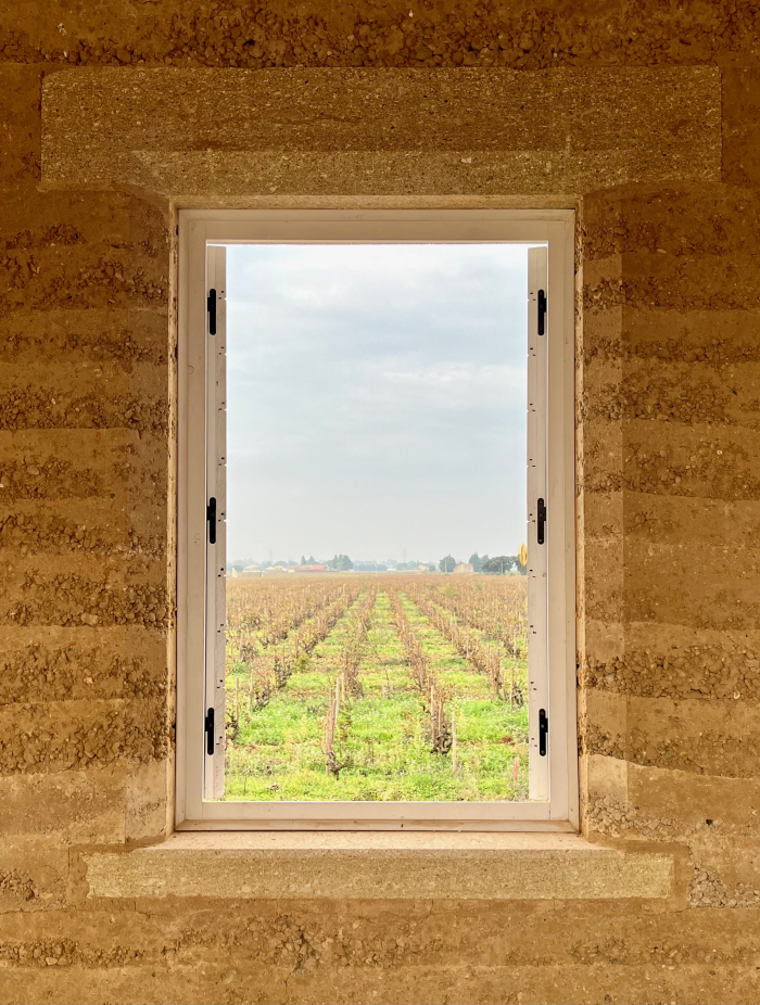 View of vineyard from courtyard View of vineyard from courtyard