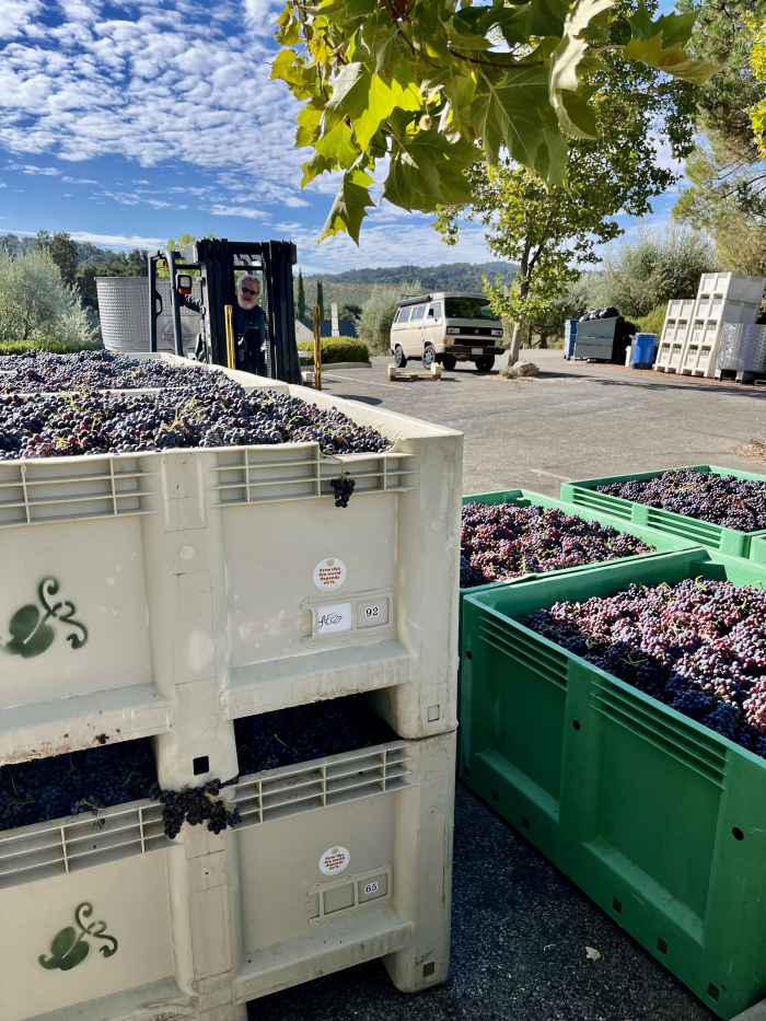 Bins on the crushpad