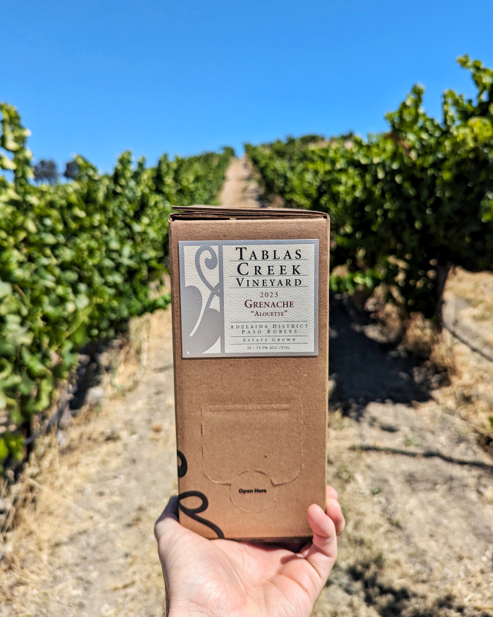 Grenache Alouette in the vineyard
