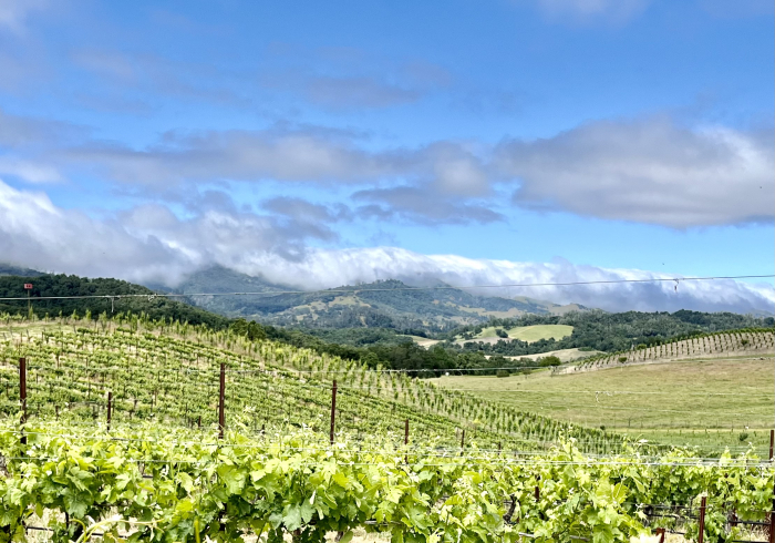 Fog bank over Santa Lucia Mountains