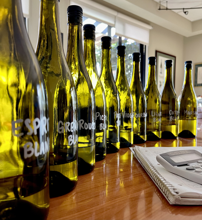 2023 White Blending Wines