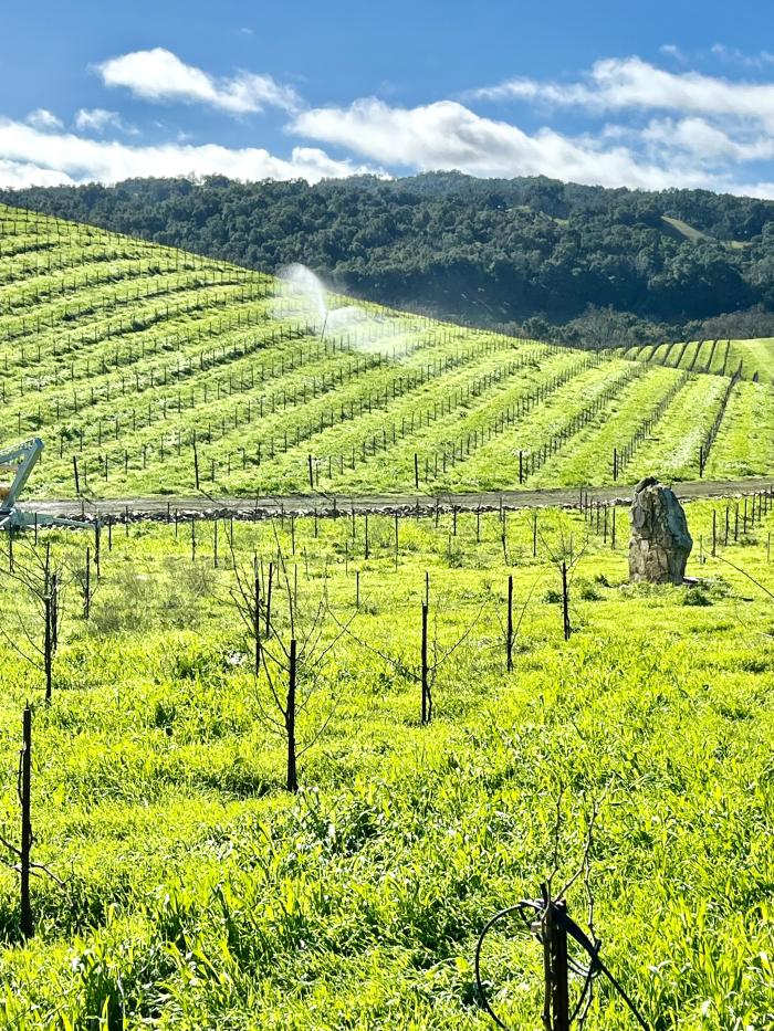 Spraying compost tea from retention basins