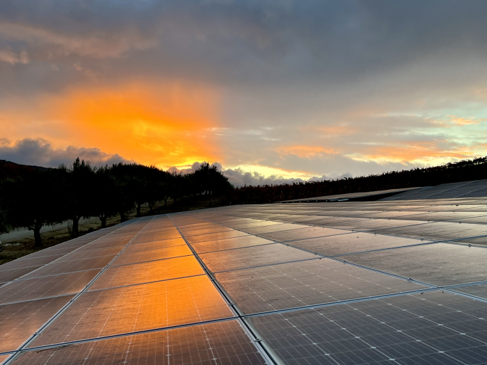 Fall sunset over solar panels