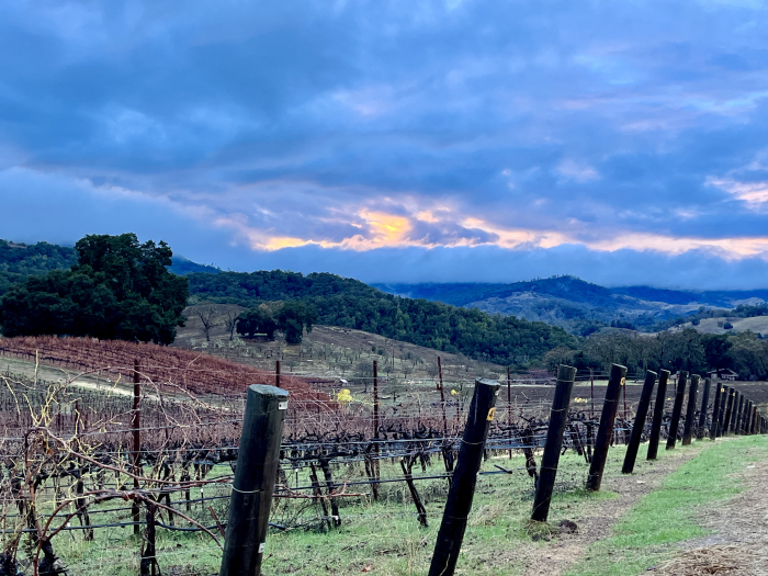 Winter sunset over Mourvedre and Santa Lucia Mountains