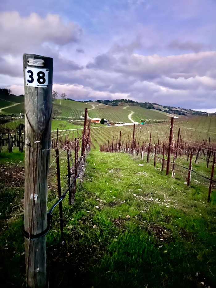 Winter rendering after dark