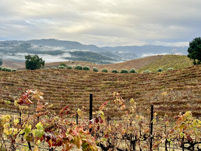 Fog lifting - over Crosshairs