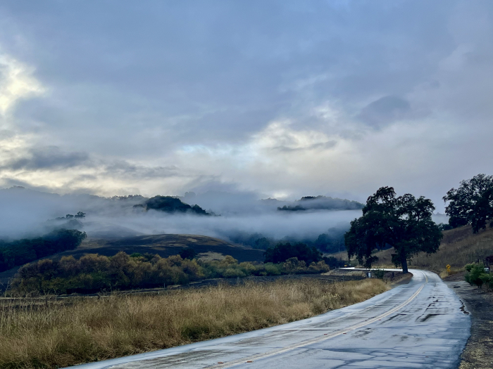 Fog lifting - Vineyard Drive